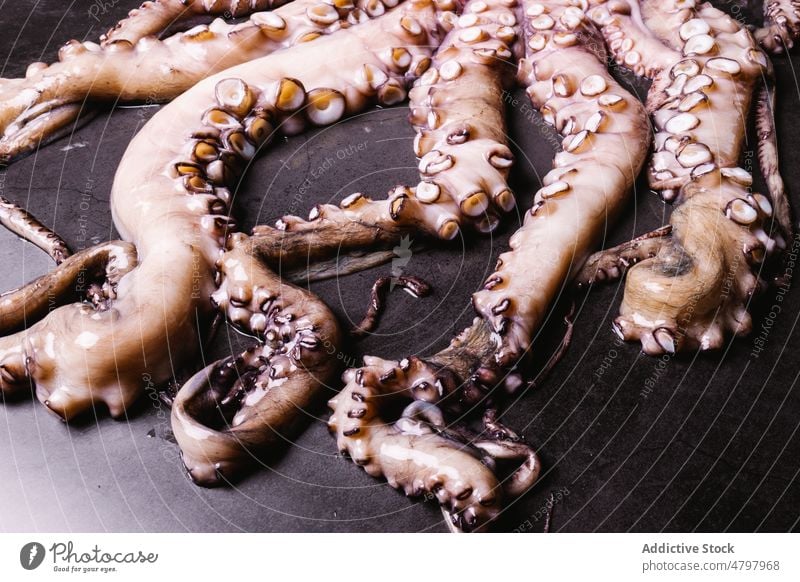 Roher Oktopus auf schwarzem Tisch Octopus roh Meeresfrüchte ungekocht Tentakel Küche kulinarisch Lebensmittel Produkt natürlich frisch Molluske Licht ganz