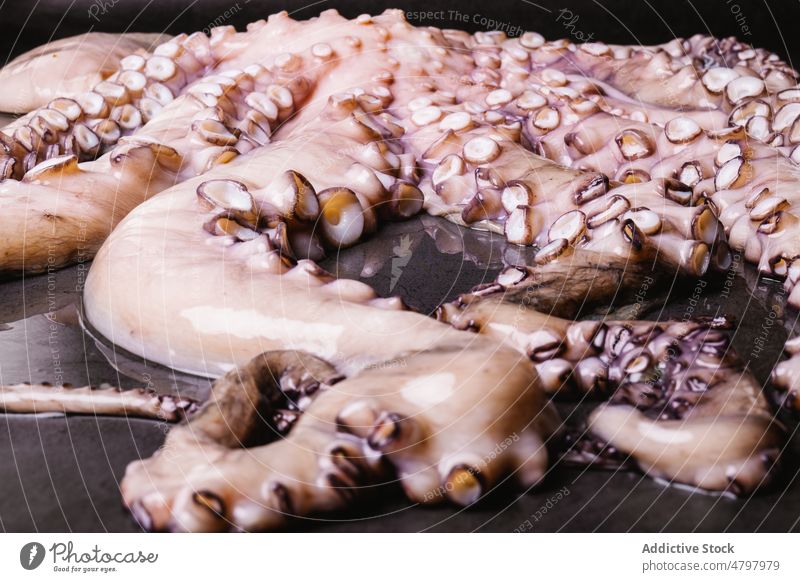 Roher Oktopus auf schwarzem Tisch Octopus roh Meeresfrüchte ungekocht Tentakel Küche kulinarisch Lebensmittel Produkt natürlich frisch Molluske Licht ganz