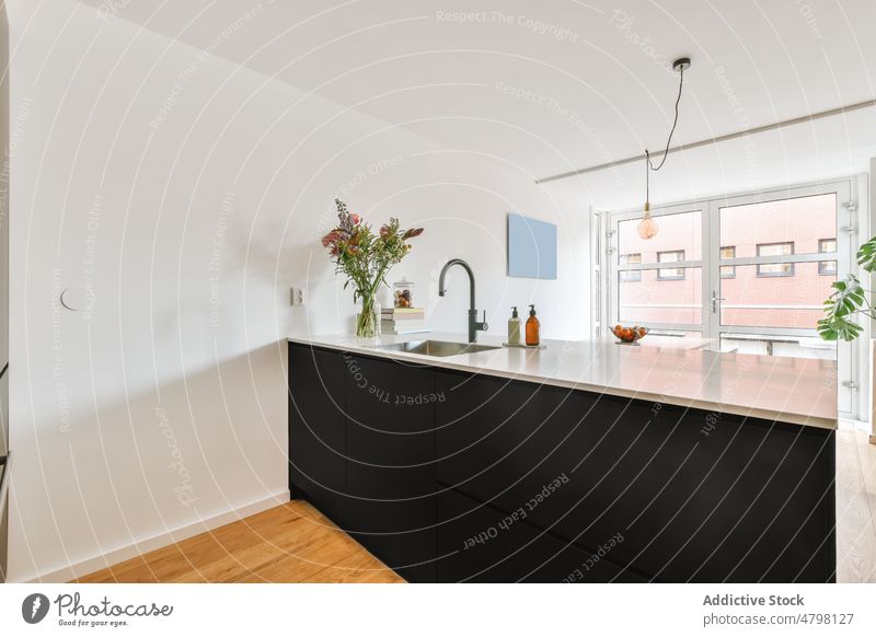 Moderne Kücheneinrichtung in einer Wohnung Innenbereich Stil Abfertigungsschalter Wasserhahn Appartement Design modern trendy Küchengeräte Vorrichtung Blume