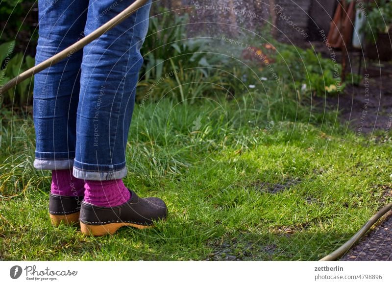 Gießen im Gärtchen ast baum ferien frühjahr frühling frühlingserwachen garten kleingarten kleingartenkolonie nacht natur pflanze ruhe saison schrebergarten