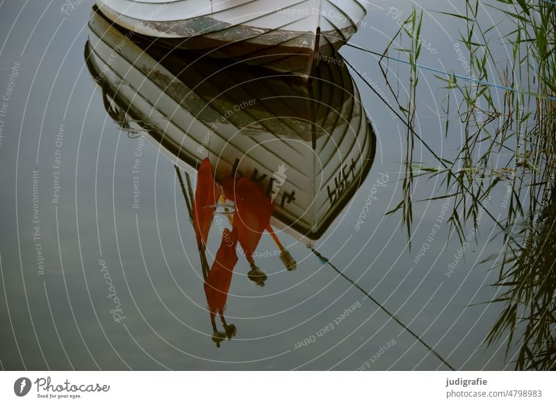 Kleines Fischerboot Boot Hafen Leine Fahnen Fähnchen Spiegelung Schilf Wasser maritim Ostsee Mecklenburg-Vorpommern Fischland-Darß-Zingst Prerow Idylle