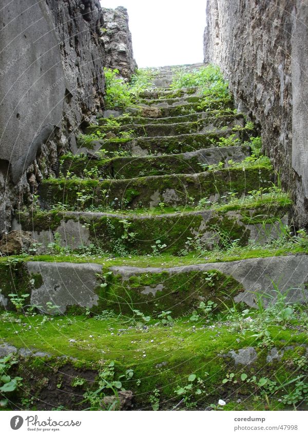 Green Mile Gebäude Ruine Gras Gemäuer grün Treppe alt Moos