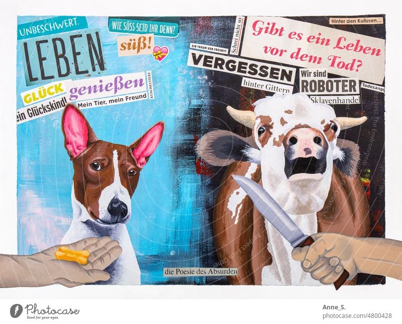 Haustier Hund, der Leckerlies bekommt versus Nutztier Kuh mit dem Schlachtmesser am Hals. Rind schlachten Vegane Ernährung vegan Nutztiere haustiere Collage