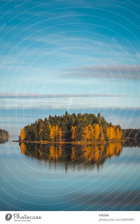 Herbstwald auf einer kleinen, in Herbstfarben gefärbten Insel. Spiegelung der orangefarbenen und grünen Bäume im See um die Stadt Sotkamo, Kainuu, Finnland. Atemberaubende Schönheit, geschaffen von Mutter Natur