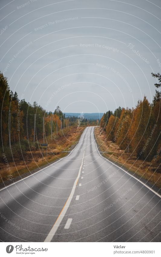 Straßenfahrt in der finnischen Region Kainuu im Herbst. Schöne Asphaltstraße, umgeben von vielen rot-orangefarbenen Bäumen geschlängelt wandern Wildnis