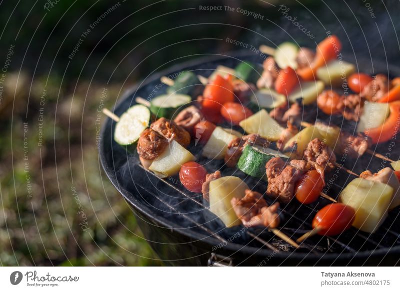 Fleisch- und Gemüsestücke auf dem Grill gegrillt Lebensmittel Grillrost Barbecue grillen Picknick Grillen Sommer Rauch Essen zubereiten Abendessen im Freien