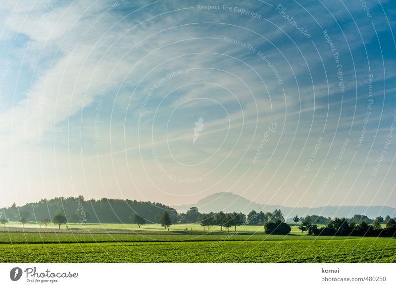 Love your Heimat // Der Hohenstaufen Ferne Berge u. Gebirge wandern Stauferland Umwelt Natur Landschaft Pflanze Luft Himmel Wolken Sonnenlicht Herbst