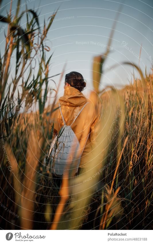 #A2# Ausflug am Morgen laufen Frau gelb Jacke Morgendämmerung morgens morgenlicht Morgenmuffel wandern Abenteuer Landschaft Natur Sonnenaufgang Außenaufnahme