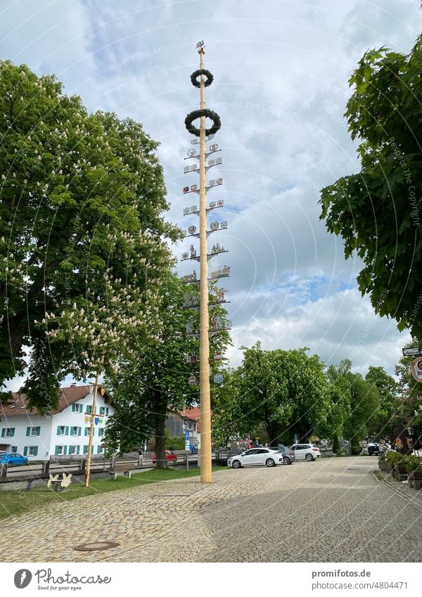 Maibaum im bayerischen Durach (Landkreis Oberallgäu) / Foto: Alexander Hauk Brauchtum maibaum durach oberallgäu feste ort ortsmitte kranz geschmück