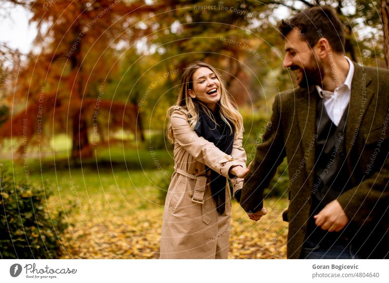 Junges Paar beim Spaziergang im herbstlichen Park Romantik Liebe zwei Partnerschaft Natur Lifestyle Freundin Herbst Frau fallen Fröhlichkeit Freizeit