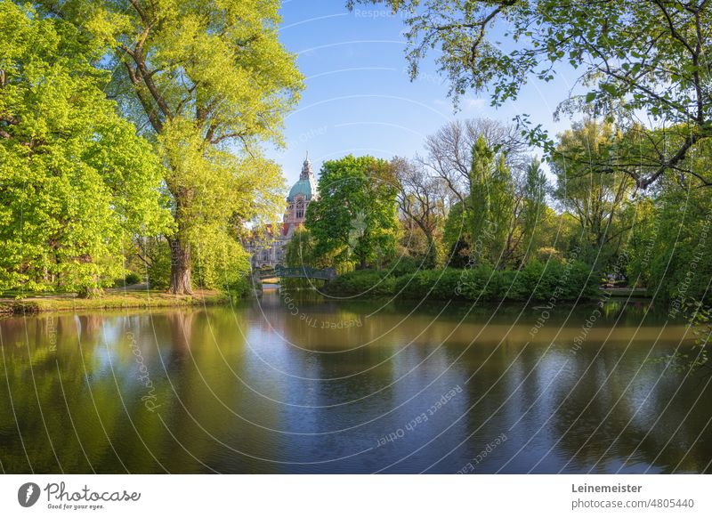 Rückseite vom Neuen Rathaus von Hannover an einem sonnigen Morgen im Frühling mit dem Maschteich im Vordergrund Neues Rathaus maschteich maschpark Mai Bäume