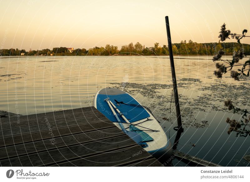 Standup Brett im See am Anlegesteg festgemacht. Gegenlicht Außenaufnahme Sonnenuntergang Standuppaddling Fitness Sommer Sonnenlicht Wasser Natur Leben