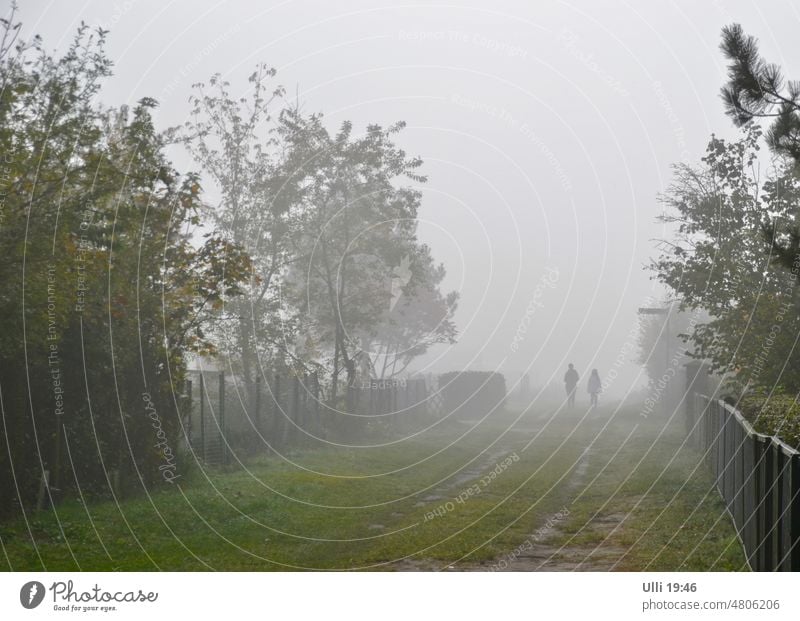 Der Nebel des Grauens? Himmel Umwelt Natur Landschaft Spaziergang Freizeit & Hobby Außenaufnahme Erholung ruhig Licht Tag Baum Schönes Wetter Zufriedenheit