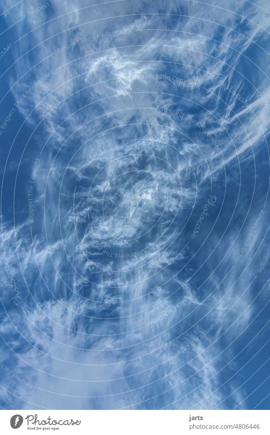 wirrwarwolken Wolken Himmel abstrakt Wind blau weiß Blauer Himmel Schönes Wetter Außenaufnahme Menschenleer Tag Farbfoto Umwelt nur Himmel Klimawandel