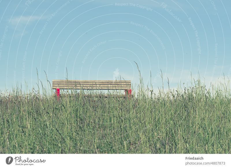 Ruhebank auf einem grünen Hügel mit blauem Himmel Bank ausruhen Natur Erholung Pause Landschaft sitzen Außenaufnahme Tag Holzbank Menschenleer Einsamkeit stille