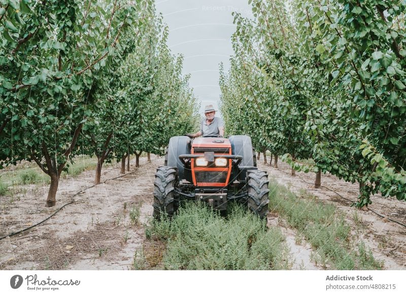 Älterer Mann fährt Traktor auf einem Bauernhof Laufwerk Obstgarten Landwirt Sommer Baum Ackerbau Arbeit Landschaft männlich älter Senior gealtert Schonung