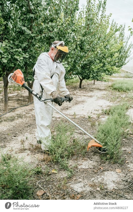 Älterer Mann mäht Gras mit Freischneider Landwirt geschnitten Garten Landschaft Arbeit vorbereiten Sommer männlich älter gealtert Senior Gärtner Wehen Gerät