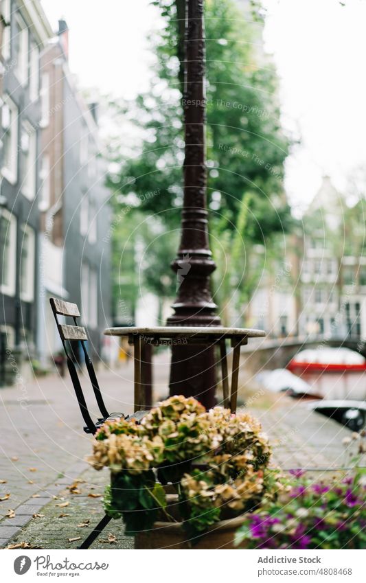 Kleines Straßencafé am Deich in der Stadt Café Stauanlage Tisch Stuhl Großstadt Bürgersteig Blume Kanal Gebäude Haus Revier wohnbedingt Kantine Windstille