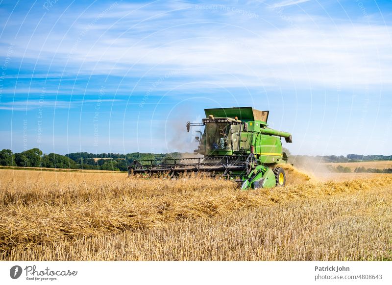 Mähdrescher im Einsatz holt die Ernte an einen schönen Sommertag ein. Landwirtschaft Ackerbau Getreide Kornfeld sommer sommertag Feld Bauer Landmaschine