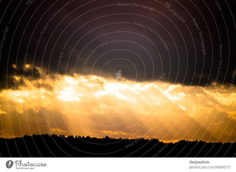 Himmel und Hölle Sonnenstrahlen Licht Wolken Sonnenlicht Natur Außenaufnahme Farbfoto Landschaft Gegenlicht Schönes Wetter Kontrast Abend Schatten Baum Umwelt