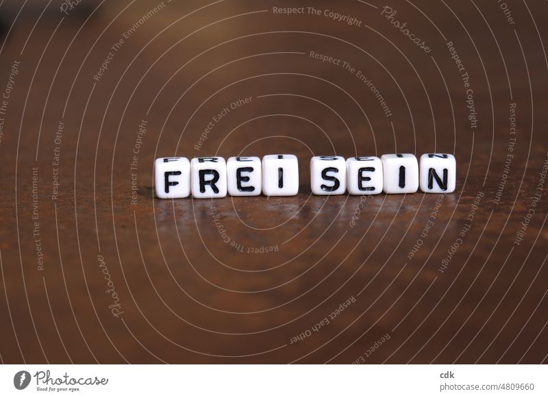 FREI SEIN frei sein Freiheit Recht auf Freiheit freie Meinungsäußerung Meinungsfreiheit Gedankenfreiheit Freisein Demokratie Leben Lebendigkeit Sicherheit