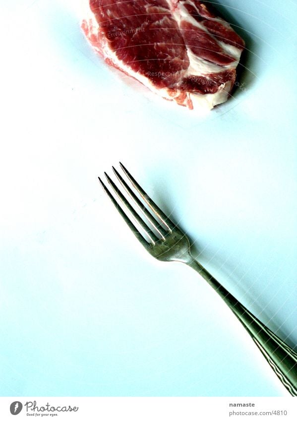 flesh and pain und gabel Fleisch rot Gabel Ekel Kuh Ernährung Wut Ärger Blut Rindfleisch