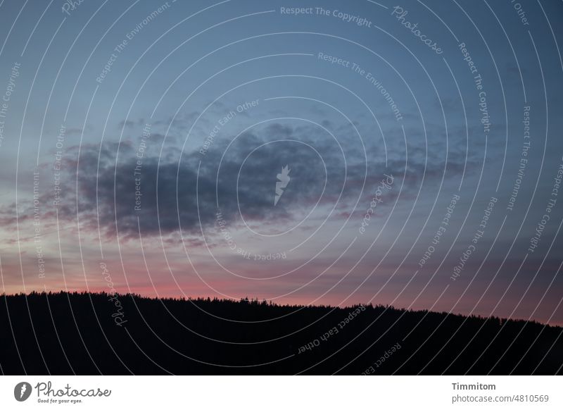 Wolken und Abendrot über Schwarzwaldhügel Himmel blau Wolkenformation Licht Schatten Hügel Baumspitzen Menschenleer Natur Außenaufnahme Wald dunkel Umwelt