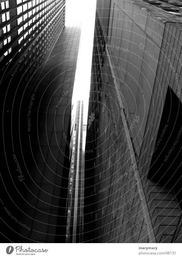 Feeling small New York City Hochhaus häauser