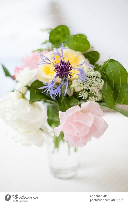 Ein kleiner bunter Strauß mit selbstgepflückten Blumen aus dem Garten ga Blumenstrauß Frühling Dekoration & Verzierung Blüte schön Blühend Natur Farbfoto grün