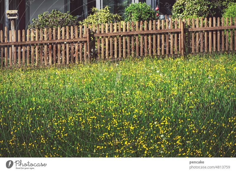 übern gartenzaun Zaun Holzzaun Gartenzaun Nachbarschaft Wiese Begrenzung Natur Grenze Vogelhaus