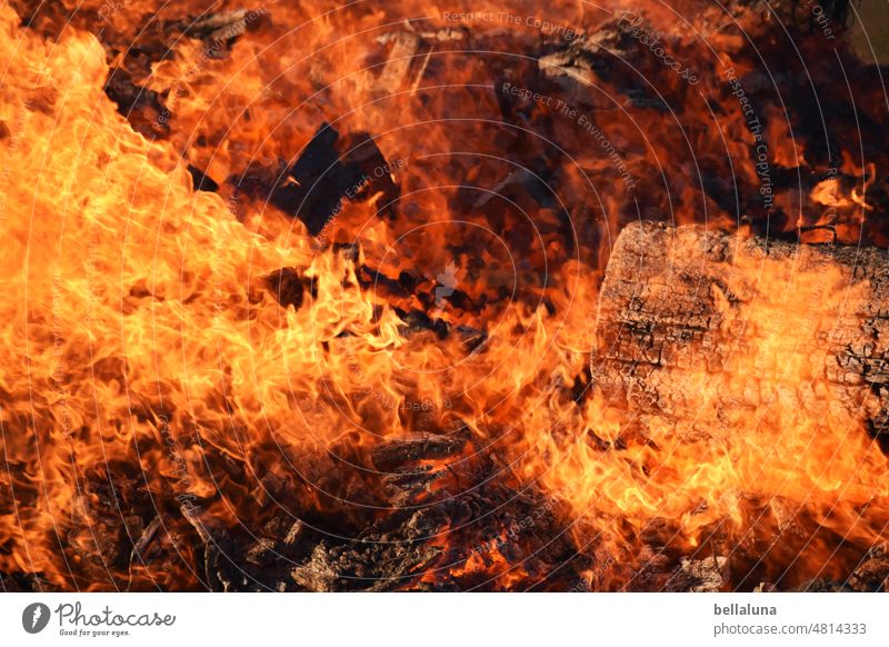 flammendes Inferno Feuer Brand brennen Flamme heiß Wärme gelb Nacht orange rot Holz schwarz gefährlich Licht Glut Feuerstelle glühen Außenaufnahme Hitze glühend