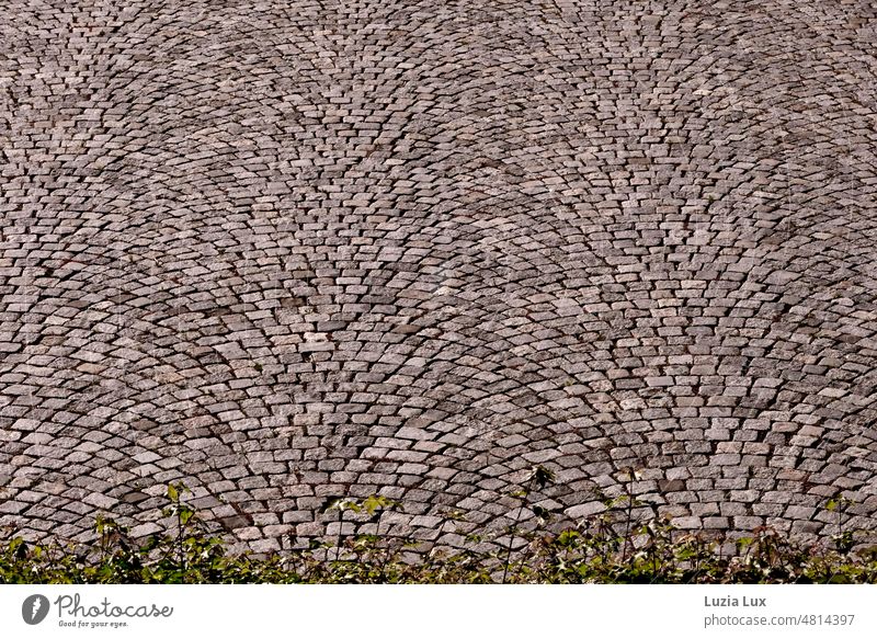 Kopfsteinpflaster, schön in Form Pflaster grau Stadt Muster Pflastersteine Wege & Pfade Platz Architektur geordnet Menschenleer Strukturen & Formen Sonnenlicht