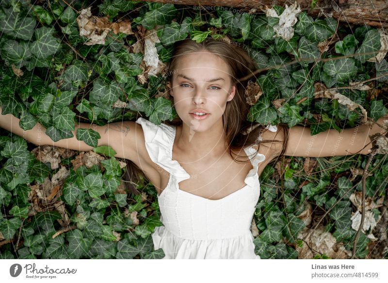 Die Schönheit der Natur spiegelt die Schönheit eines wunderschönen brünetten Mädchens wider. Auf dem Boden liegend in ihrem weißen Kleid. Sie schaut in die Kamera. Was für ein wunderschönes Porträt einer jungen Frau in der Wildnis.