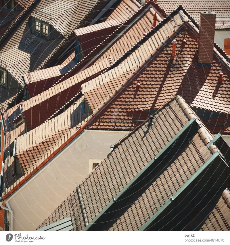 Dachgesellschaft Gebäude Häusermeer Dächer Altbau Altbauwohnung Häusliches Leben Stadtzentrum Gewirr Fassade Wohngebiet Blick von oben Weite urban Altstadt