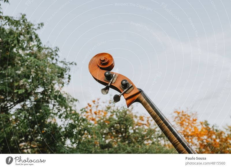 Nahaufnahme Kontrabass Bass Musik Musikinstrument Saite Streichinstrumente Gitarre Holz Klang Konzert Musiker Ton musizieren Kunst Elektrobass Detailaufnahme