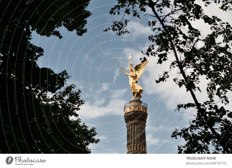 [hansa BER 2022] Goldelse oder Siegessäule - in sonnigem Glanz ragt das weithin sichtbare Wahrzeichen und Denkmal der Viktoria zwischen Bäumen im Tiergarten Berlin empor gegen den blauen Himmel mit leichten weißen Wolken