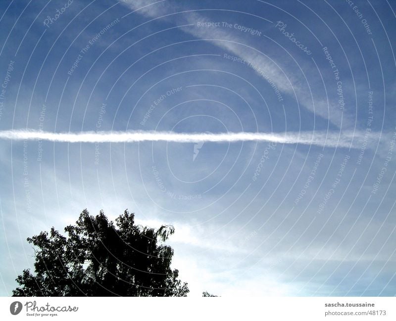 Himmelsstürmer Wolken Kondensstreifen Baum weiß schwarz Luftverkehr Lichterscheinung blau ...