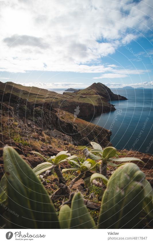 Wunderschöne wilde Natur, umgeben von großen Klippen in der Gegend von Ponta de Sao Lourenco im Nordosten der Insel Madeira in Portugal. Touristenziel in Portugal. Sonnenaufgang