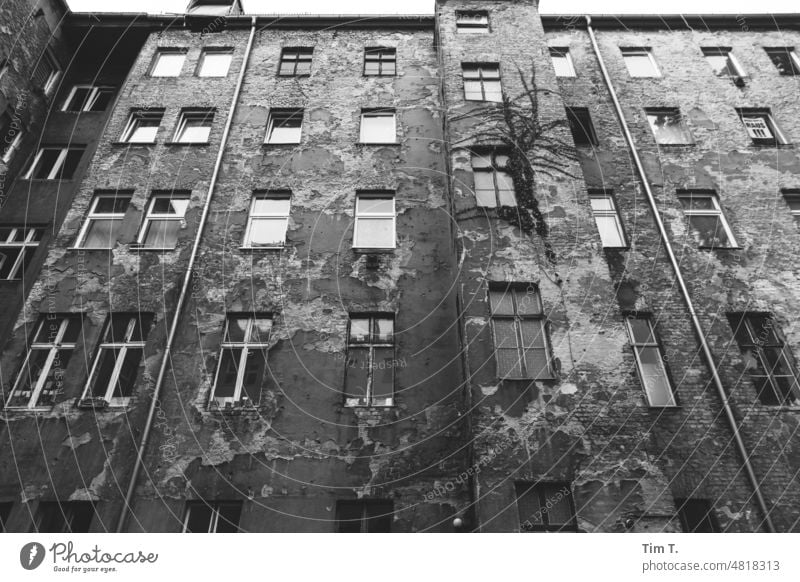 Hinterhof Berlin in Schwarz Weiß Prenzlauer Berg Innenhof Stadt Menschenleer Altbau Haus Stadtzentrum Hauptstadt Tag Hof Fenster Architektur b/w Altstadt