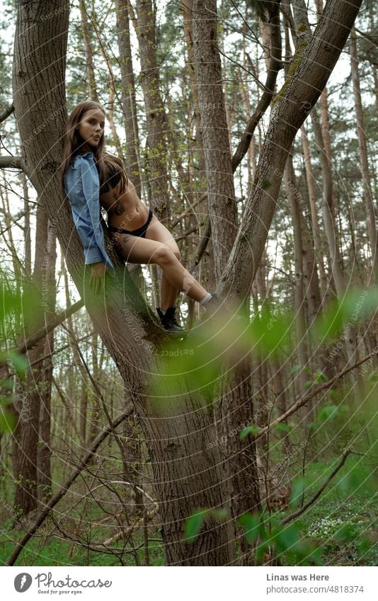 Oben in einem Baum ist ein Ort zu sein. Für diese wunderschöne brünette Mädchen gekleidet in ihrem schwarzen und sexy Dessous und blaues Hemd nur. Dieser Baum ist von der Schönheit einer Frau besetzt.