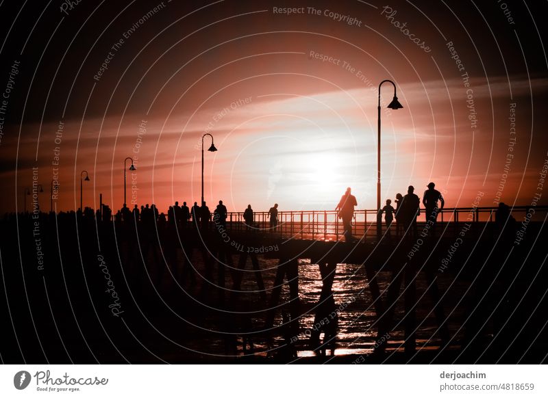 Treffen zum letzten Tageslicht auf dem Steg am Meer. sonnenuntergang Abendstimmung Natur sich[Akk] beugen Wasser freizeit Himmel Landschaft Sonne Sommer laterne