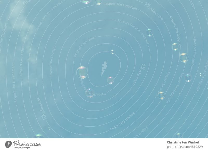 filigran | schwebende Seifenblasen glänzend durchsichtig Reflexion & Spiegelung Kugel mehrfarbig Leichtigkeit Vergänglichkeit schillernd rund leicht träumen