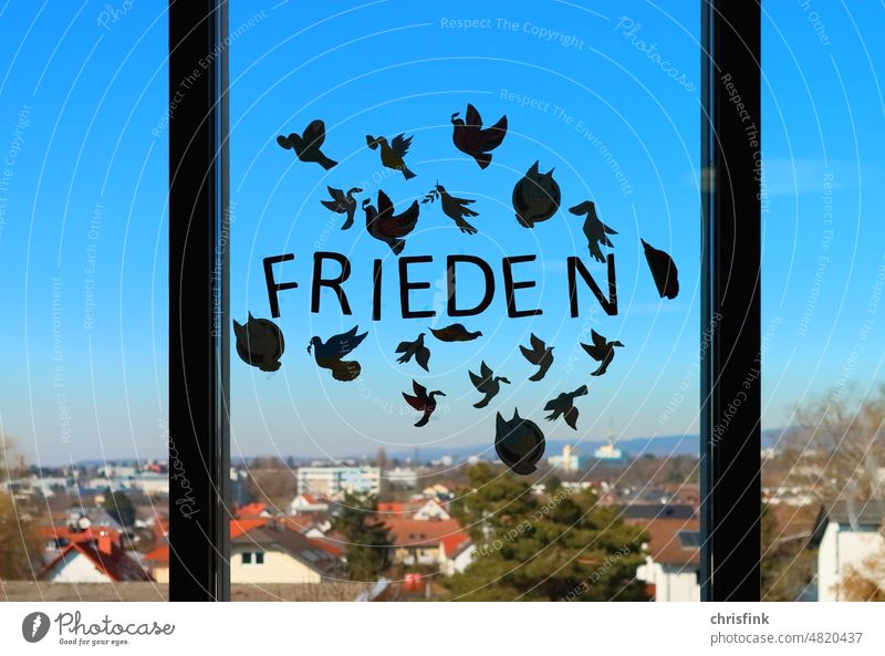 Frieden Schriftzug auf Fensterglas mit Gegenlicht und Taube Krieg Ukraine Putin Tauben Friedenstauben Russland Politik & Staat Hoffnung Protest Ukrainekrieg