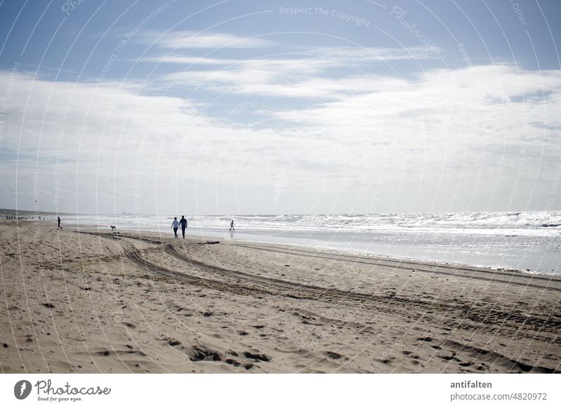 Katwijk aan Zee I Meer Nordsee Horizont Wasser Himmel blau Außenaufnahme Farbfoto Wellen Küste Natur Landschaft Strand Ferien & Urlaub & Reisen Ferne Tag