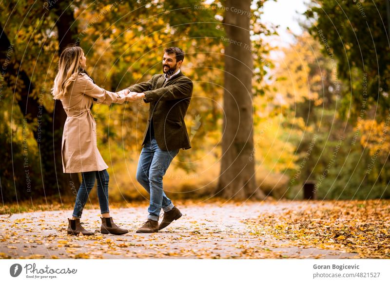 Junges Paar hat Spaß im Herbst Park attraktiv herbstlich schön Freund lässig Farbe Termin & Datum Datierung Tag fallen Frau Laubwerk Wald Mädchen Freundin Typ