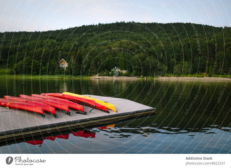 Kajaks auf dem hölzernen Kai am See, umgeben von üppigen Bäumen Kanu Landschaft Pier Teich Natur Boot Hügel Wald farbenfroh Windstille Baum malerisch