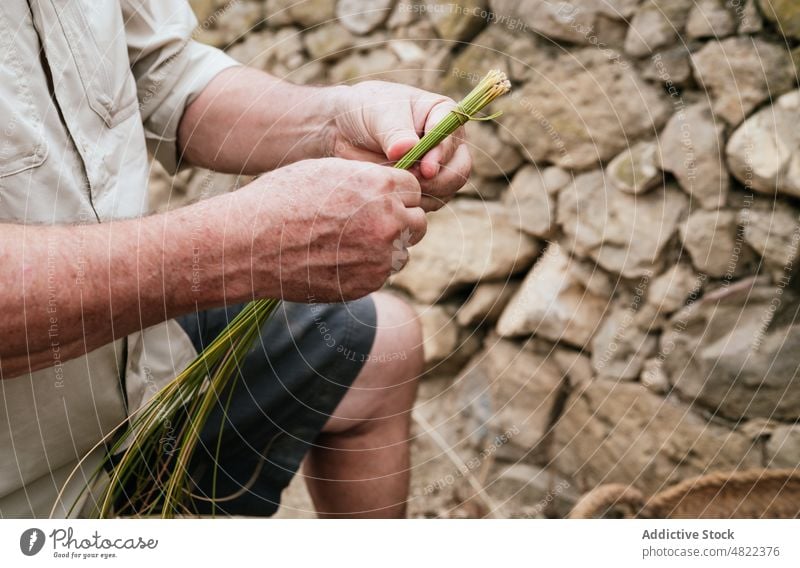 Erntehelfer mit Espartogras beim Korbflechten Mann Weben esparto Gras Kunstgewerbler Landschaft Handwerk Natur Fokus Arbeit Konzentration männlich lässig Sehne