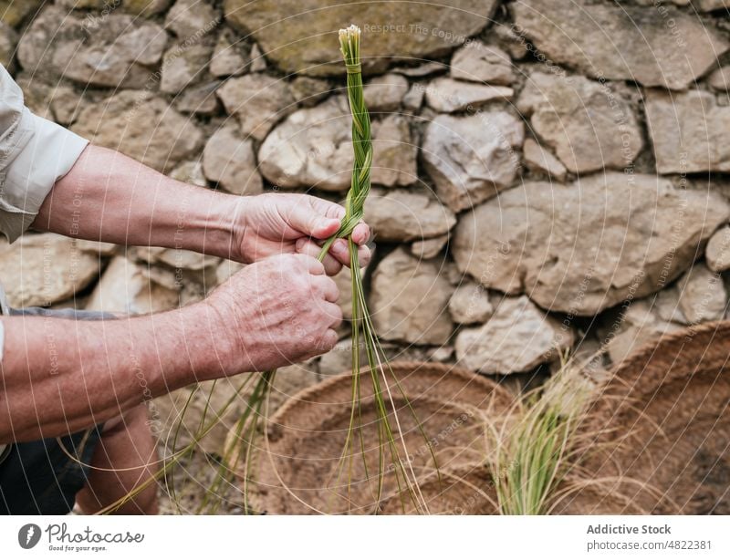 Erntehelfer mit Espartogras beim Korbflechten Mann Weben esparto Gras Kunstgewerbler Landschaft Handwerk Natur Fokus Arbeit Konzentration männlich lässig Sehne