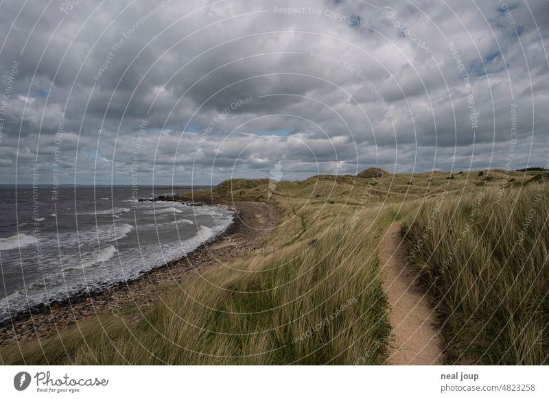 Küstenpfad durch Dünengras unter stürmischem Wolkenhimmel Landschaft Meer Nordsee Himmel Ferien & Urlaub & Reisen Außenaufnahme Natur Strand Erholung Wandern