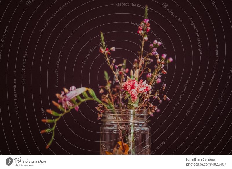 Blumen im Glas vor schwarzem Hintergrund Blüte Schwarzer Hintergrund dunkel dunkler Hintergrund nahaufnahme studioaufnahme Nahaufnahme Natur Pflanze